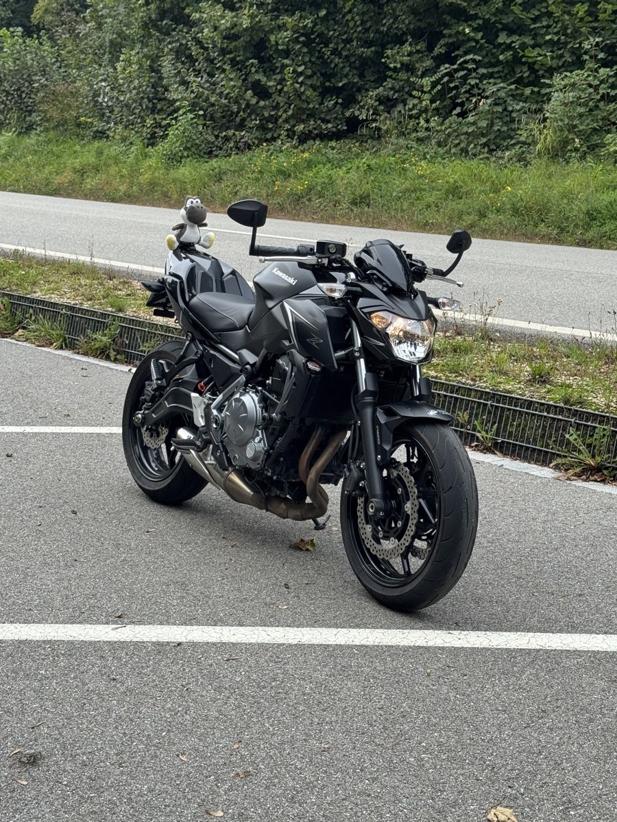 Kawasaki Strada: Kawasaki z650 ABS/35kw – Usato da Full- Reuenthal venduto da col_wwj2 1