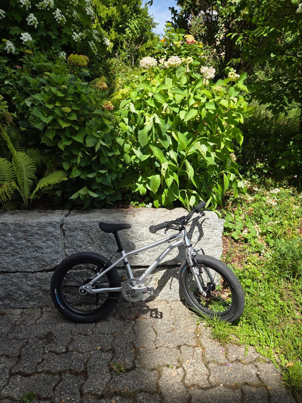 Early Rider Biciclette: Early Rider Belter 16", NEU! – Nuovo (secondo la descrizione) da Meilen venduto da Helene000 6