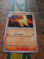 POKEMON  Rapidash   H  SCR EN  020/142  HP120  2024