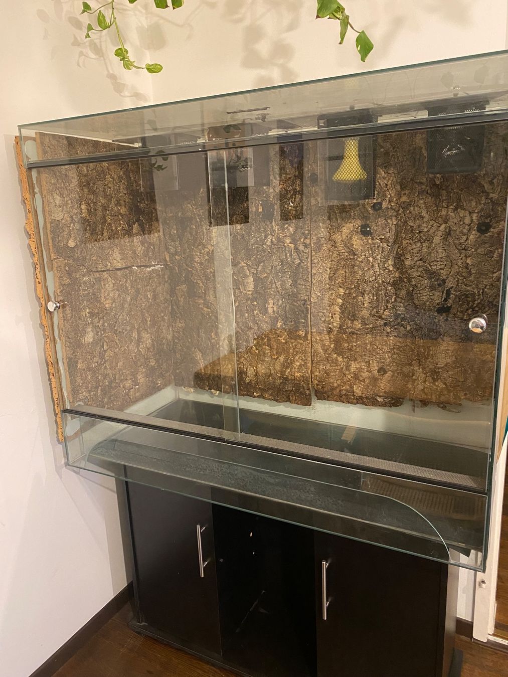 Terrariums: Terrarium – D'occasion à Zürich par Brucelee4