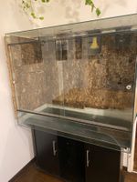 Terrarium
