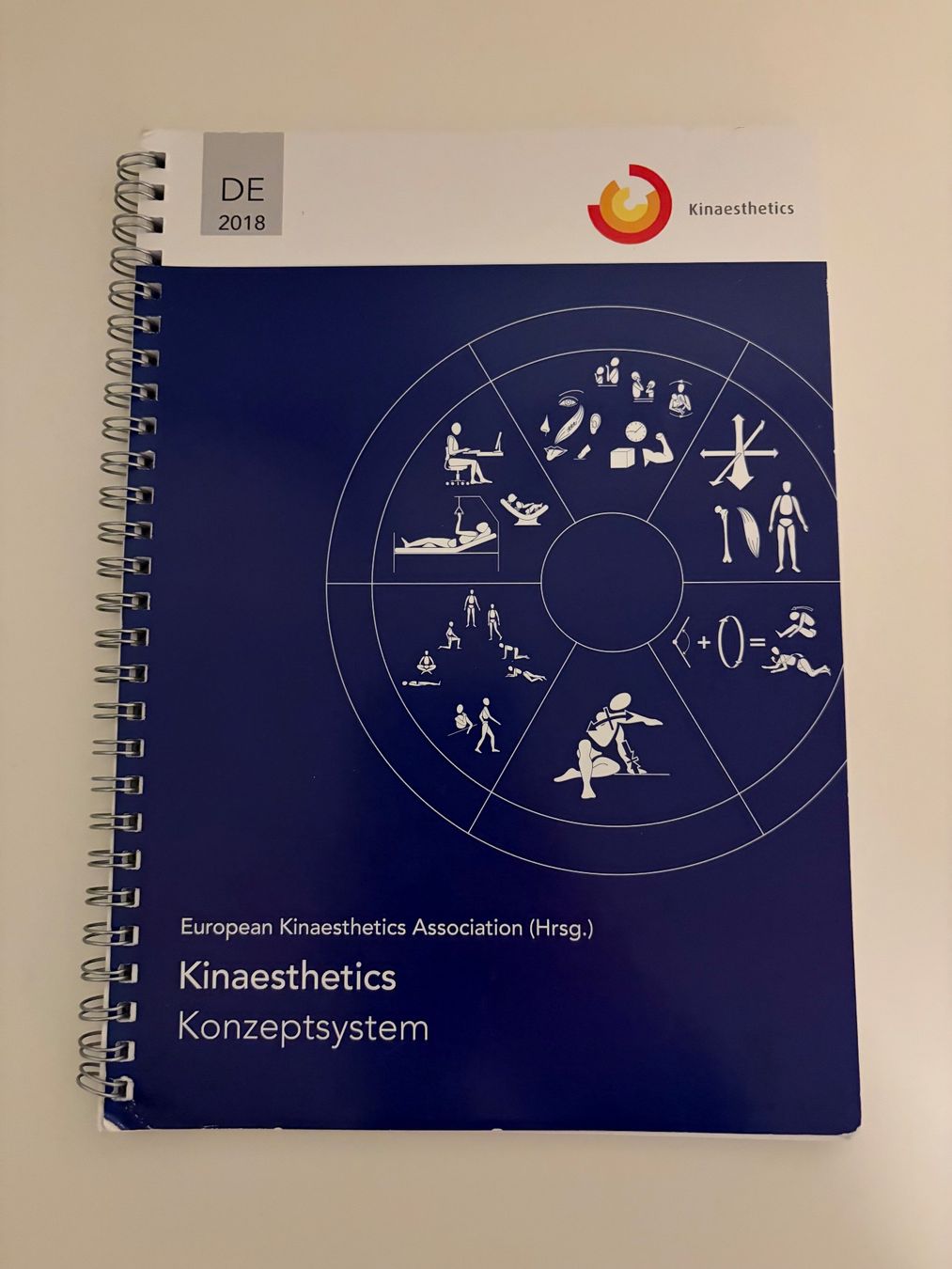Libri: Kinaesthetics Konzeptsystem, 2018 – Usato da Liebefeld venduto da lau_dfv9