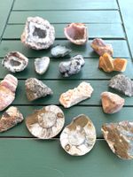 Steinsammlung: Konvolut Ammoniten & Mineralien m. Geoden uvm