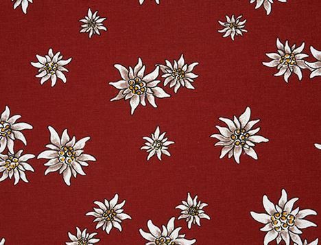 Küchengeräte: Spima Kaffeewärmer Edelweiss – Neu und originalverpackt aus Kägiswil von pebart 1