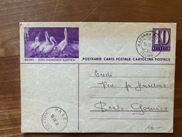 1949 Basel Zoo Postkarten   (G2890)