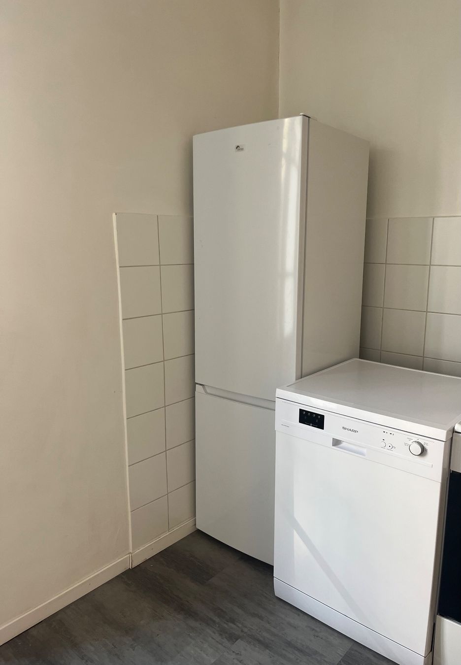 Kühlschrank: Fridge + Dishwasher – Gebraucht aus Genève von ang_5v9z