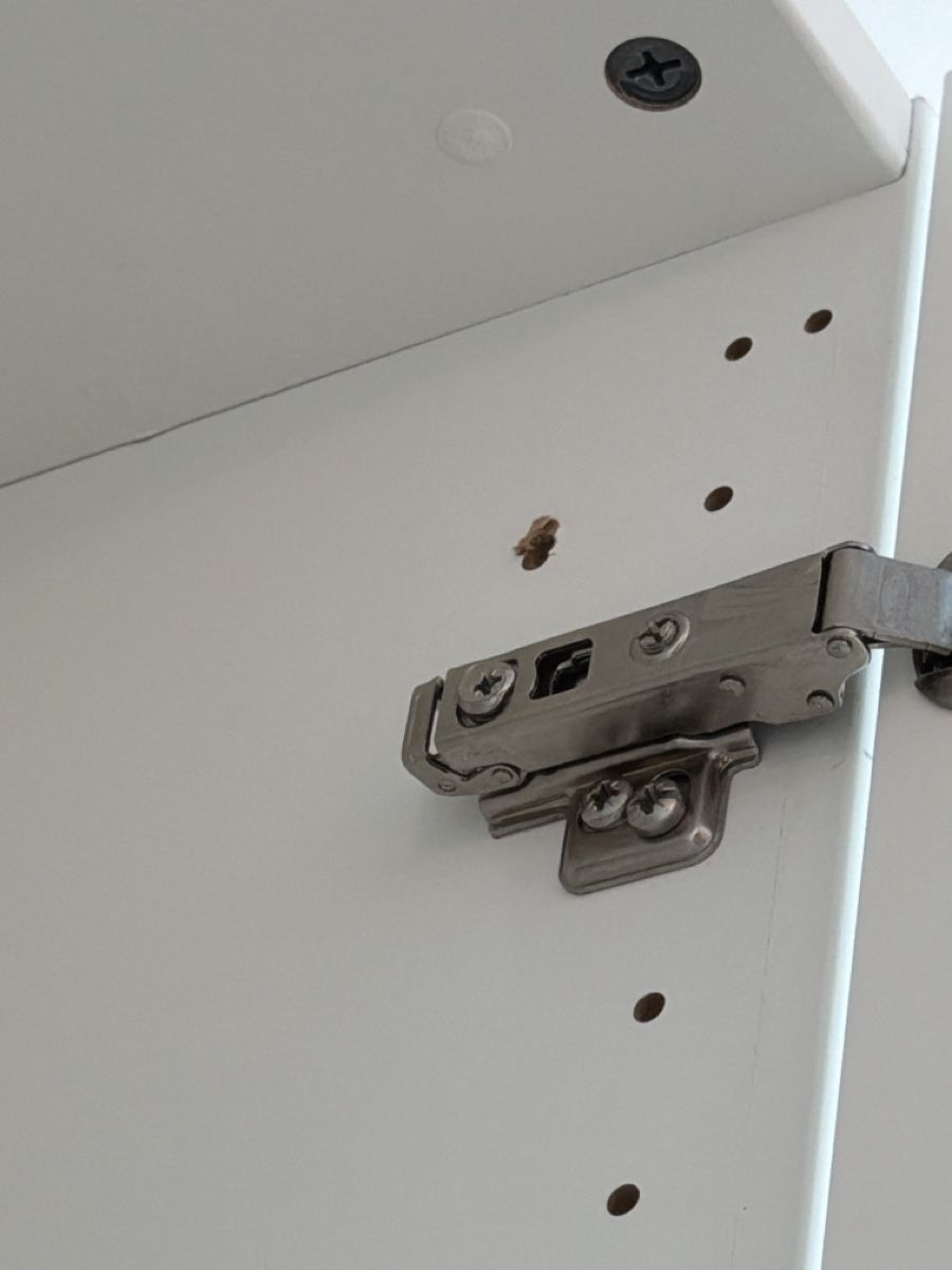 Armadi: IKEA Pax 100cm x 58 cm x 236cm – Difettoso da Oberrohrdorf venduto da Mariann79 3