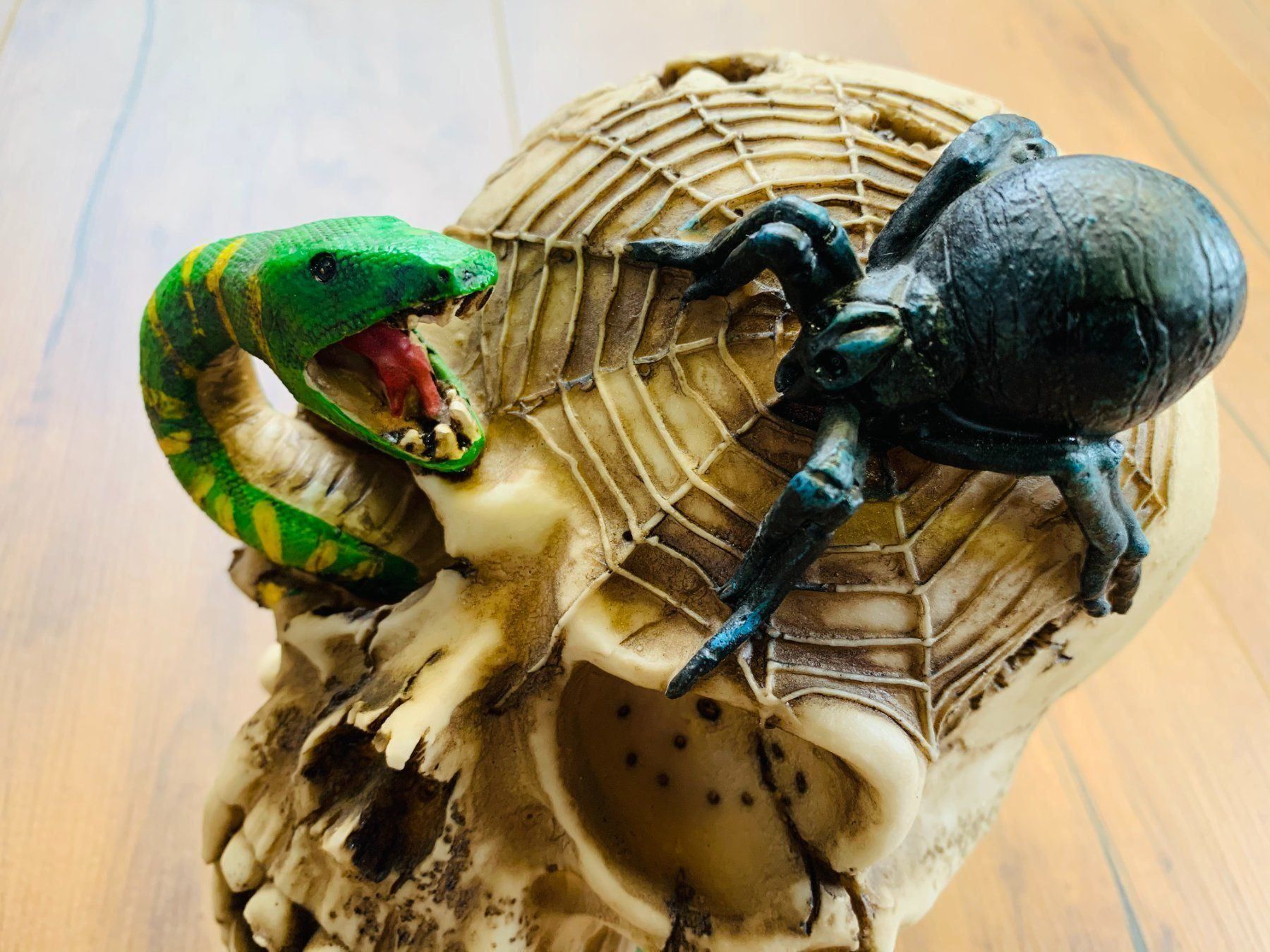 Sculture & Statue: Totenschädel Schädel SKULL Spinne 22cm NEU – Nuovo e nell'imballaggio originale da Bergdietikon venduto da shopAgent 3