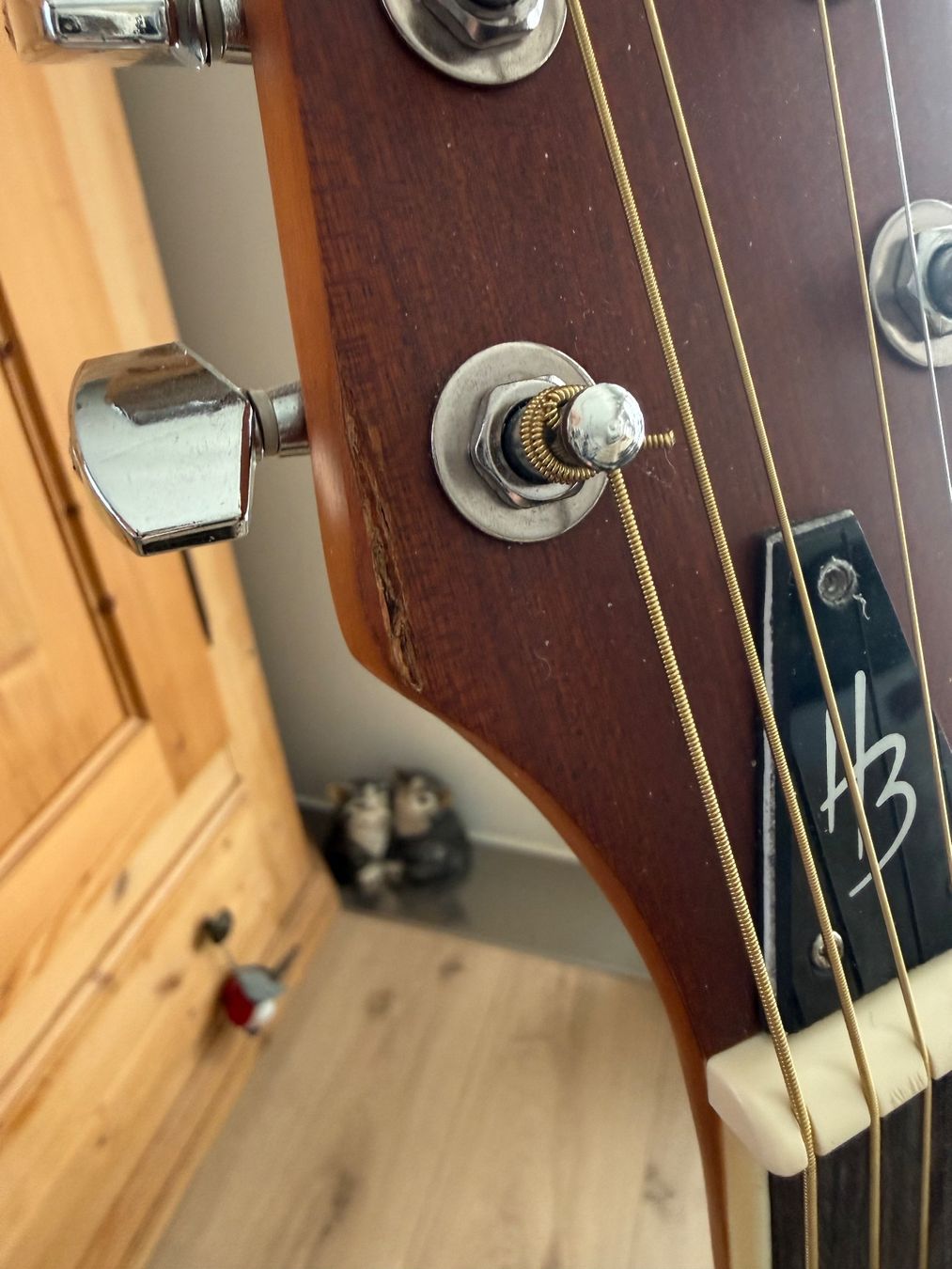 Strumenti musicali: Harley Benton Gitarre – Usato da Felben-Wellhausen venduto da Claude61 3