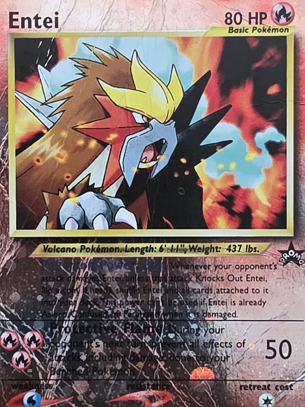 Pokémon Carte collezionabili: Pokémon Pack Promo | Mew 2000 | Entei 2001 – Usato da Thierrens venduto da Pipito93 6