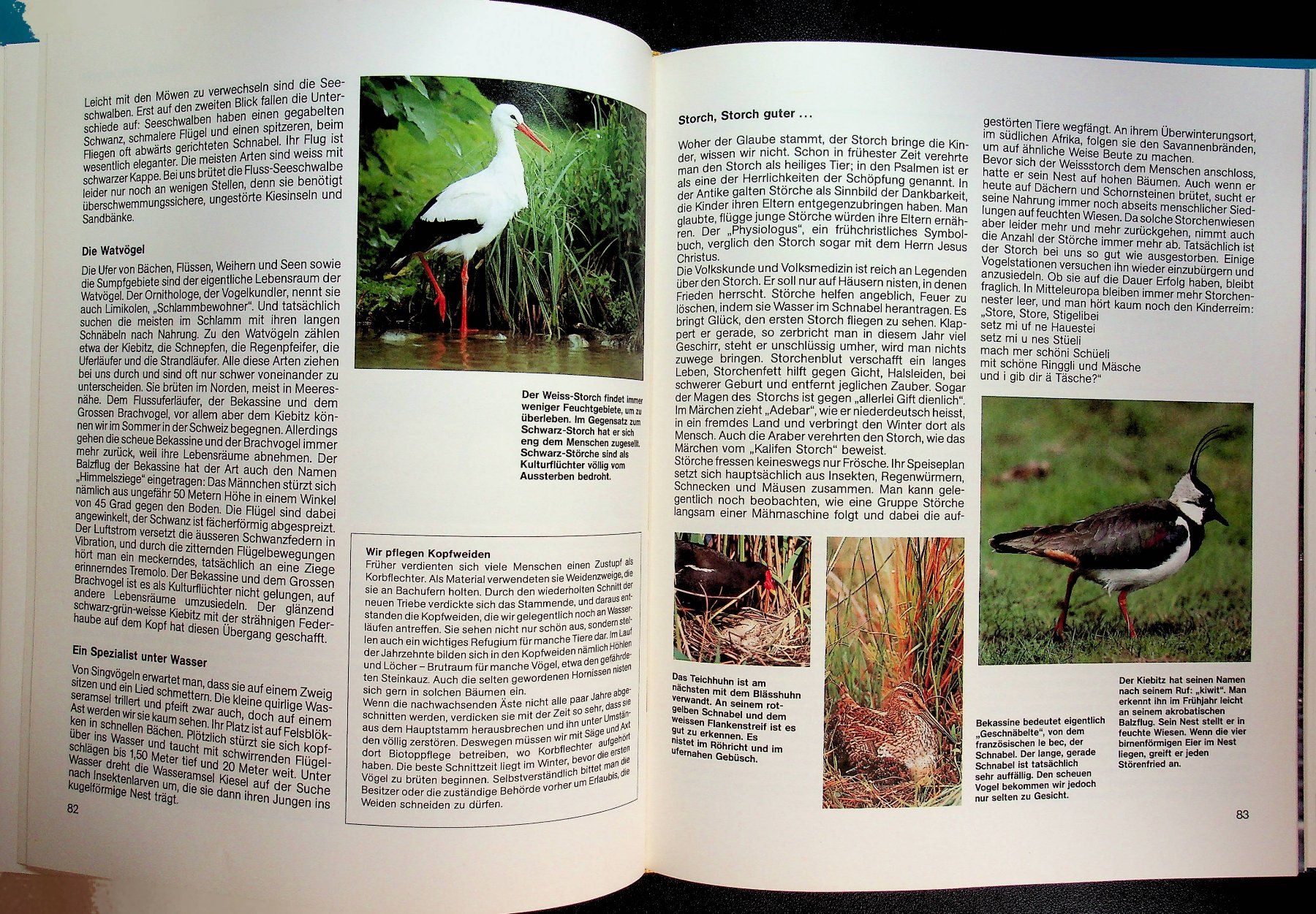 Bücher: Das  Silva Familienbuch Wasser EA 1985 – Gebraucht aus Reitnau von Zaomir 8