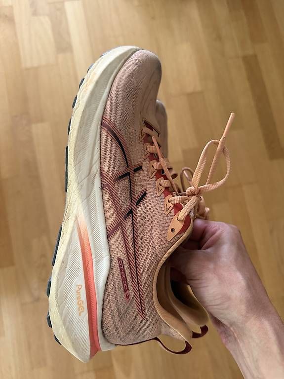 Herrenschuhe: Asics GT-2000 13,Grösse 42 – Gebraucht aus Bern von gregnenn