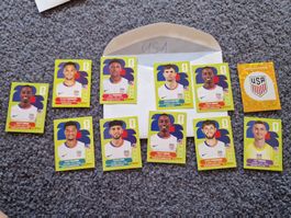 Panini Wm 026 USA