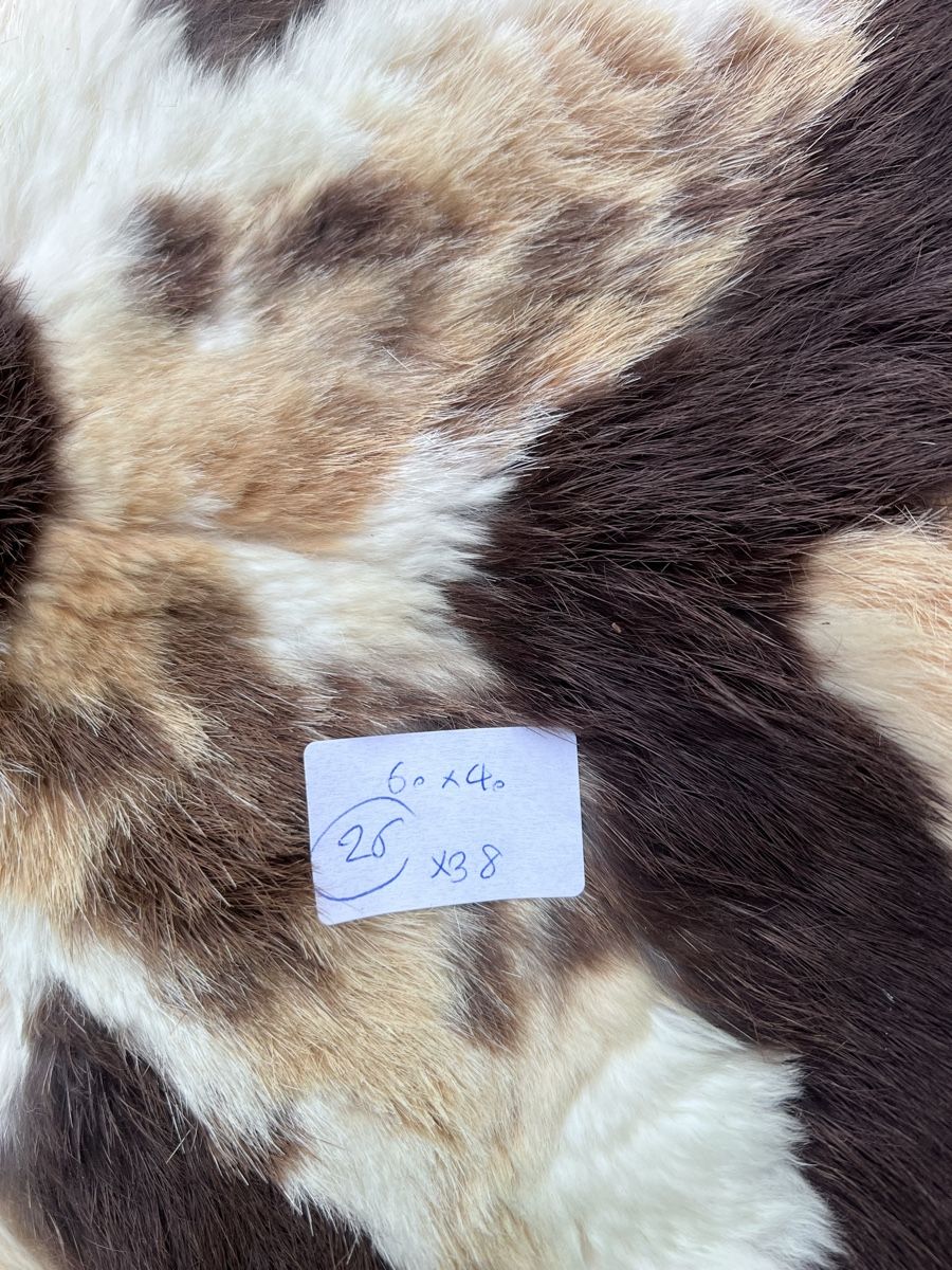 Hocker: 2 Hocker (26) – Gebraucht aus Glattfelden von bro_f2vv 5