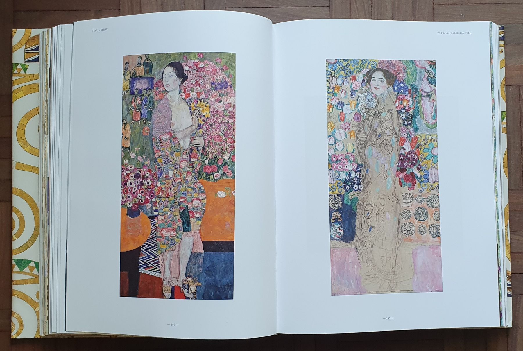 Libri: Buch - Gustav Klimt - Sämtliche Gemälde – Usato da Kreuzlingen venduto da Rschweiz1 8