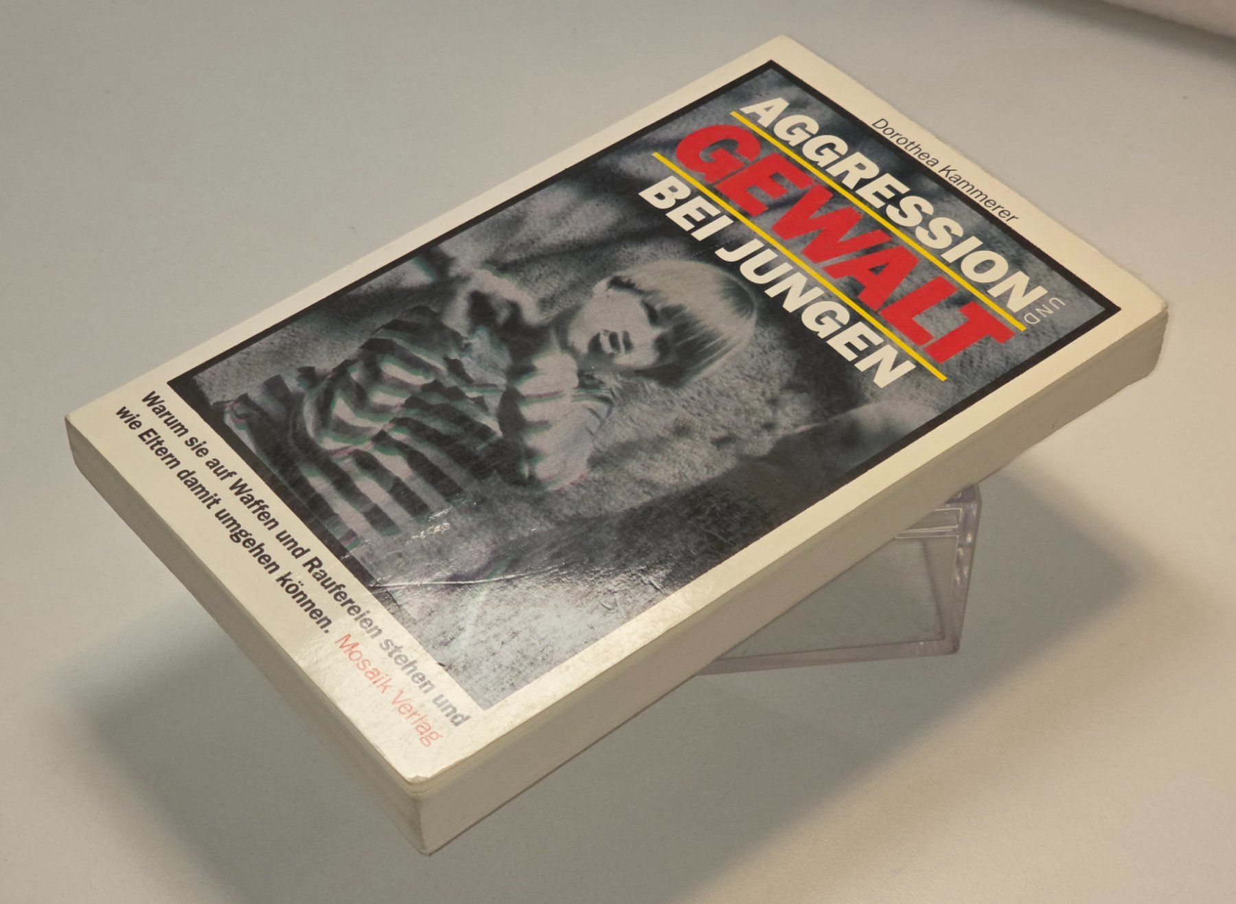 Bücher: AGGRESSION und GEWALT bei JUNGEN Dorothea Kammerer – Gebraucht aus Dürnten von Bachtelrider_ 1
