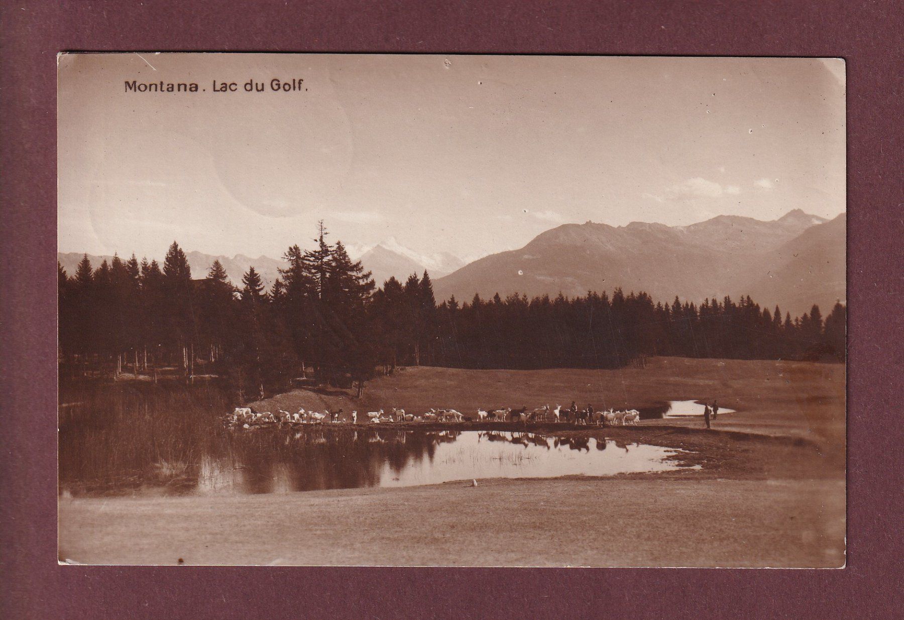 Cartoline postali: MONTANA - Lac du Golf - Chèvres - 1928 – Usato da Pully venduto da nicecards