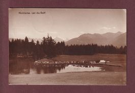 MONTANA - Lac du Golf - Chèvres - 1928