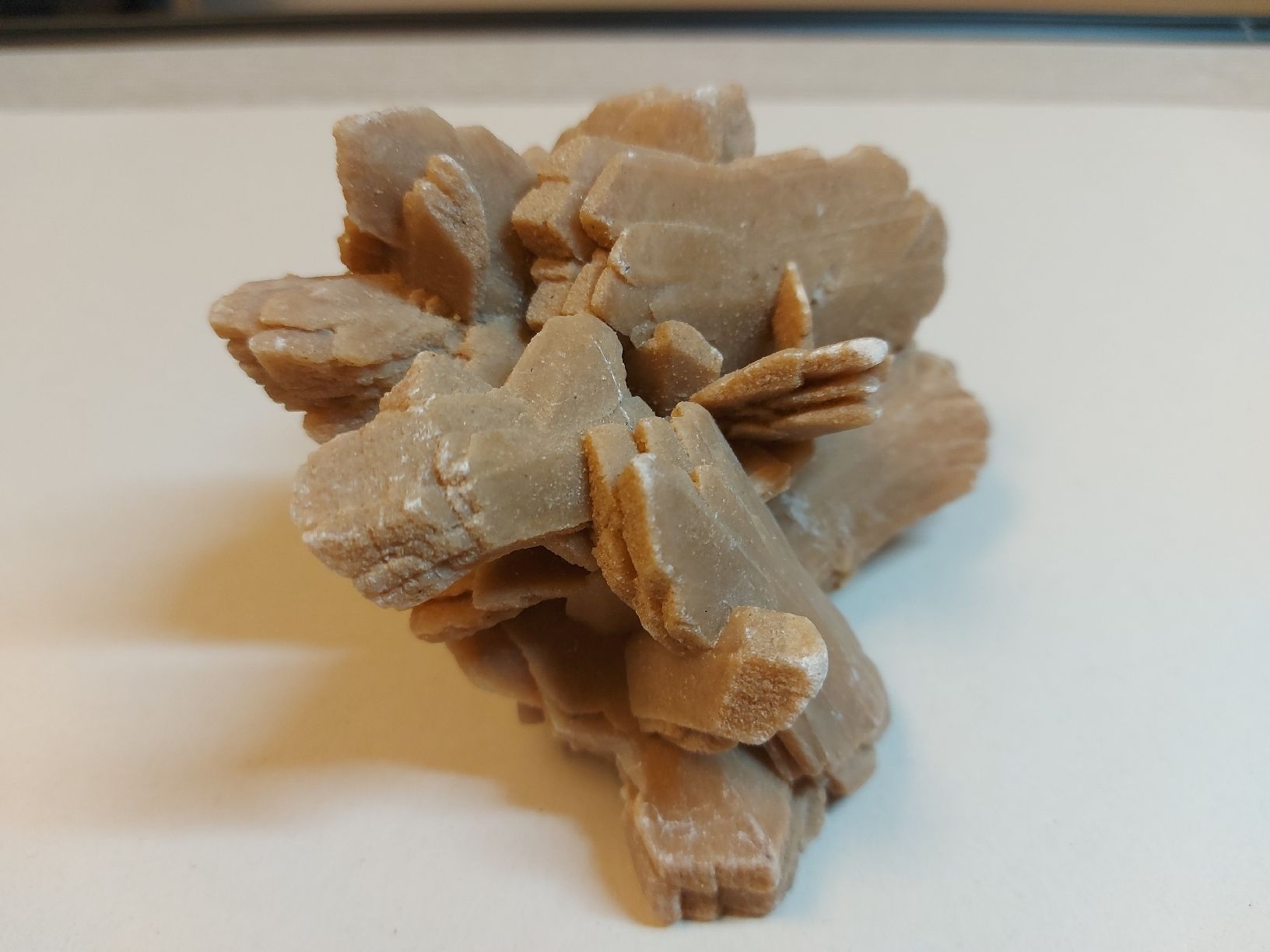 Mineralien & Heilsteine: Wüstenrose aus Tunesien – Gebraucht aus Bern von Bernaro 1