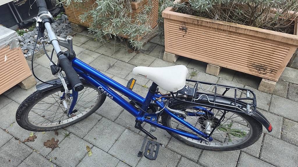 Biciclette: Kindervelo  Cresta – Usato da Hombrechtikon venduto da RominaLaBene 1