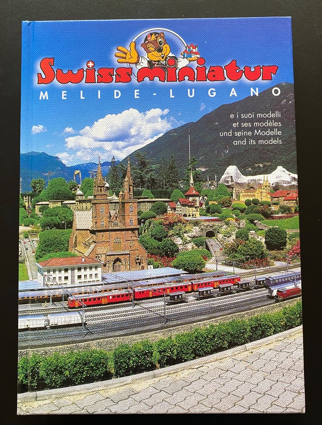 Libri: SWISSMINIATUR – Usato da Nussbaumen AG venduto da schuba2000