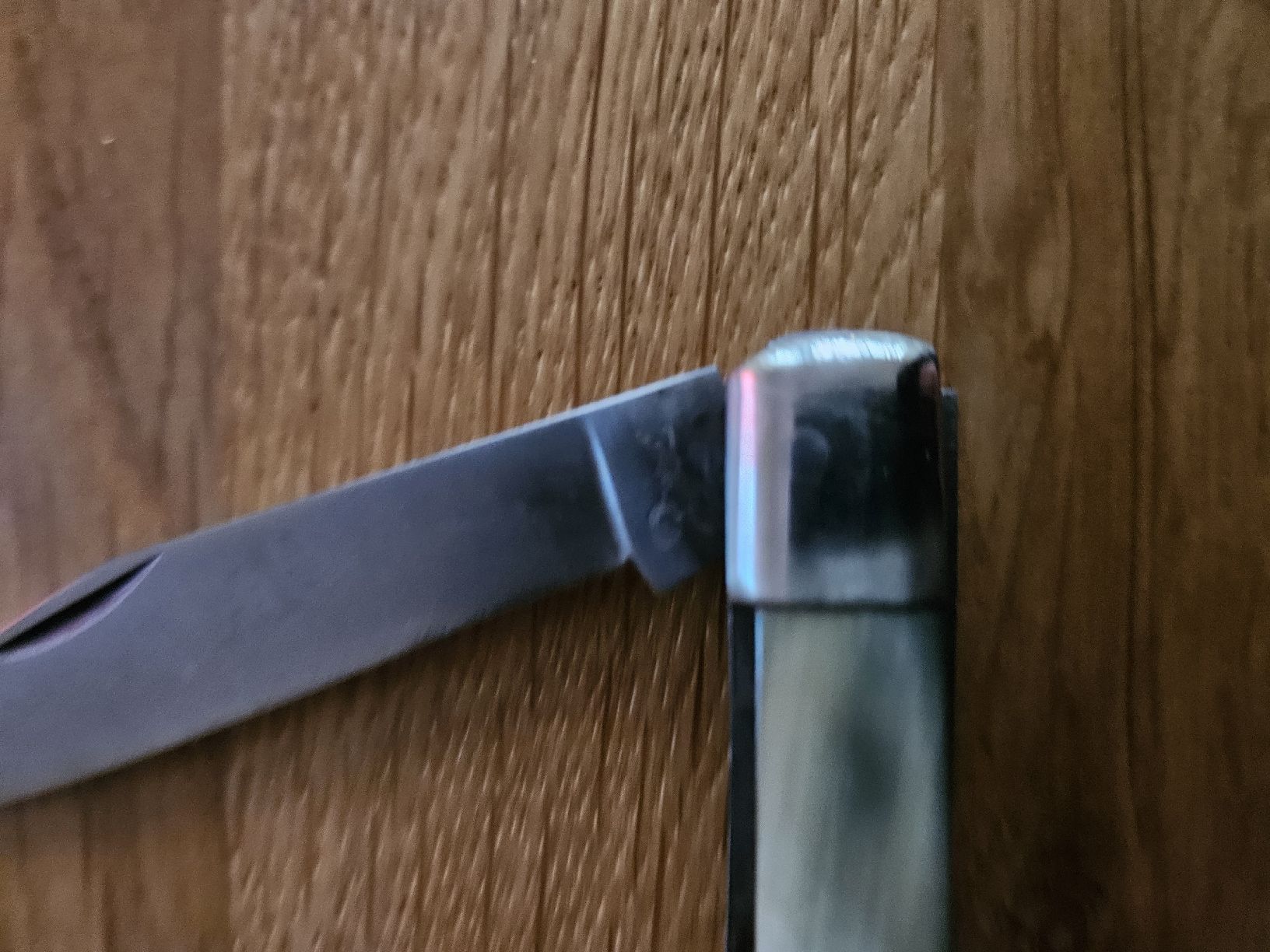 Coltelli tascabile: Taschenmesser mit Hornschalen – Usato da Bern venduto da Respirit 3