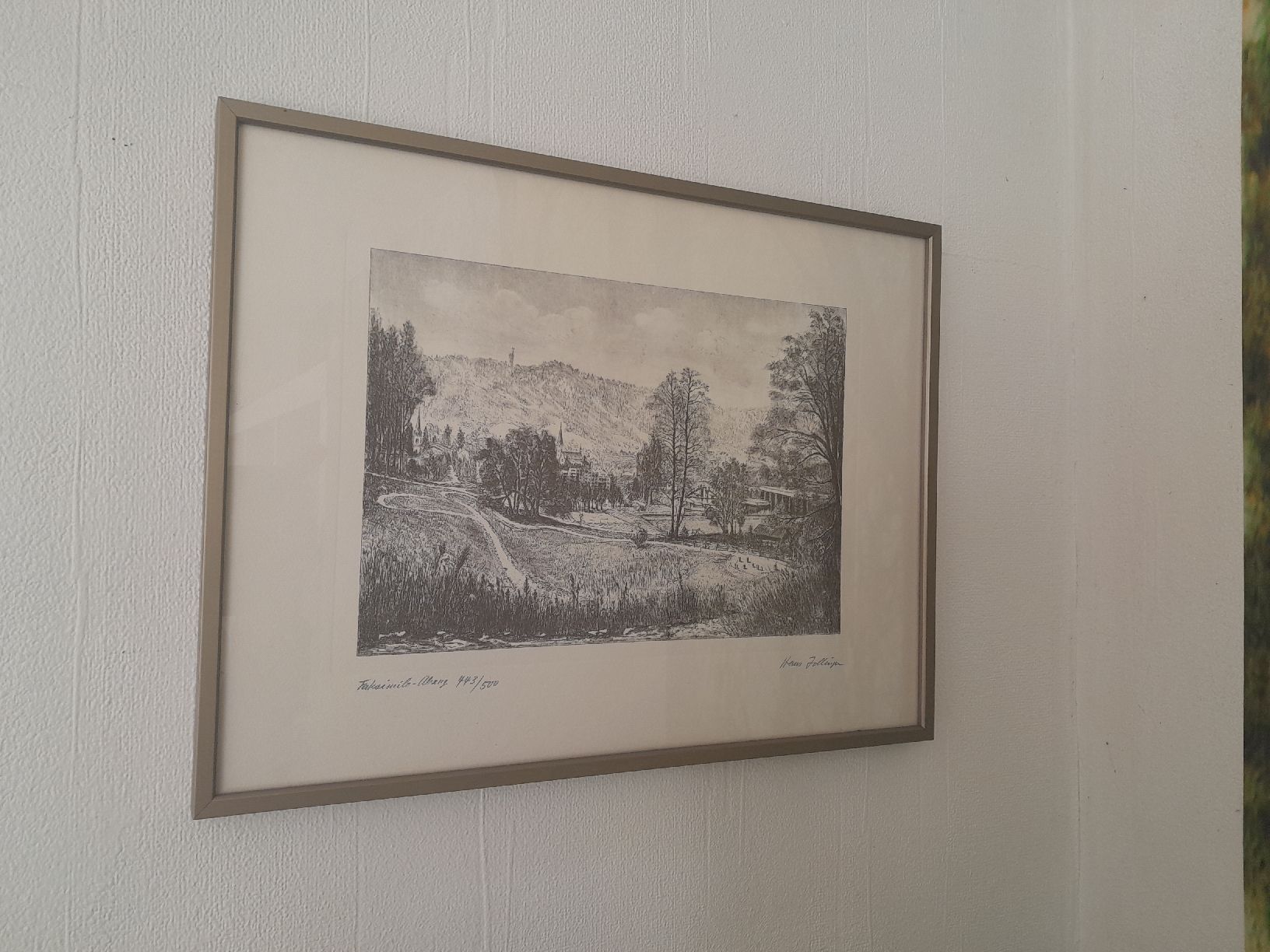 Grafica & Litografie: Landschaftsbild  Hans Zollinger – Usato da Rossrüti venduto da Hansi778