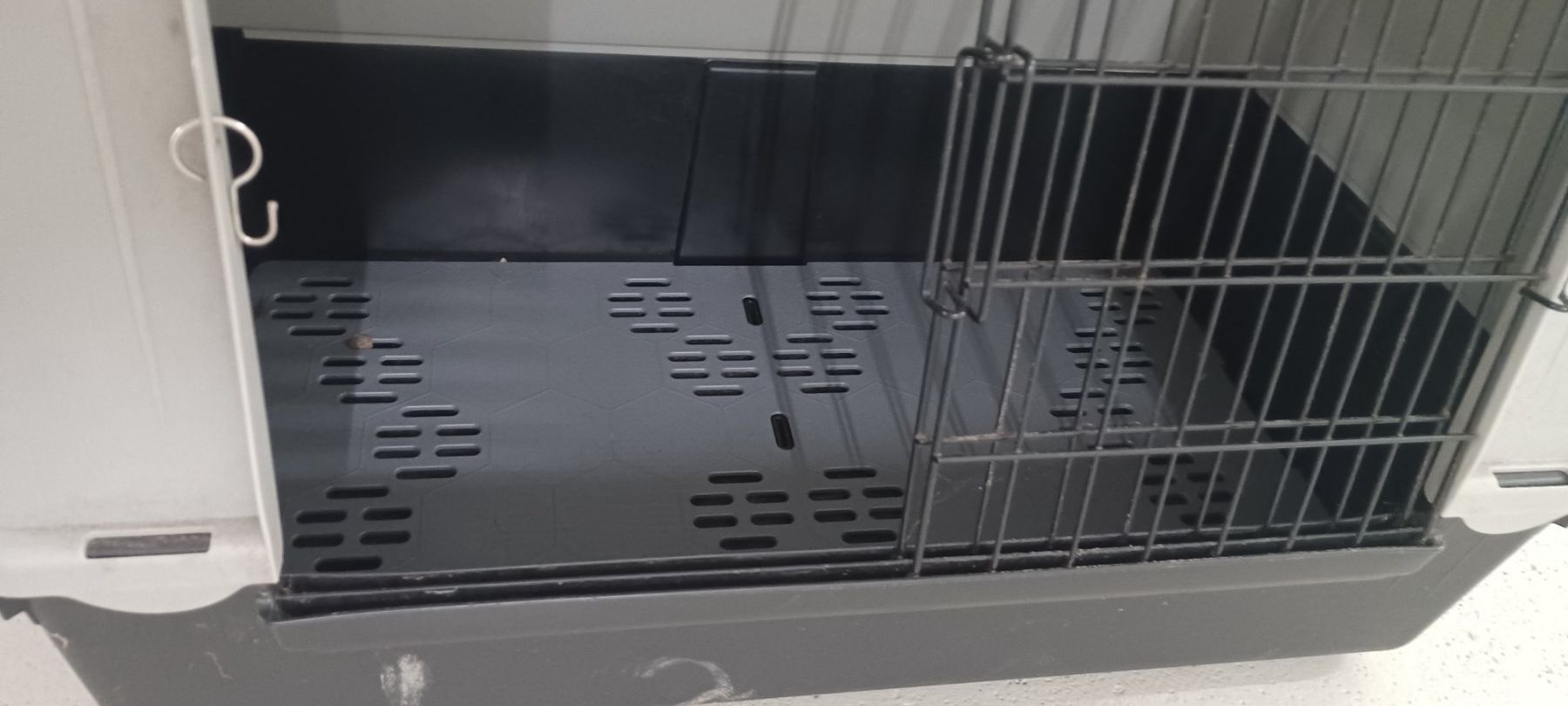 Gabbie, trasporto & Sicurezza: Gut erhaltene Transportbox für Hunde oder Katzen. – Usato da Luzern venduto da spyro-gyra 2