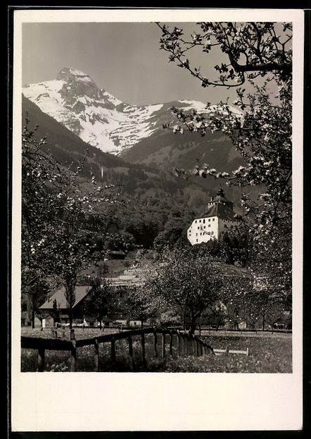 Cartoline postali: AK Werdenberg, Schloss Werdenberg – Usato da Berlin venduto da bartko-reher