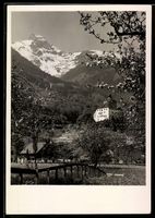 AK Werdenberg, Schloss Werdenberg