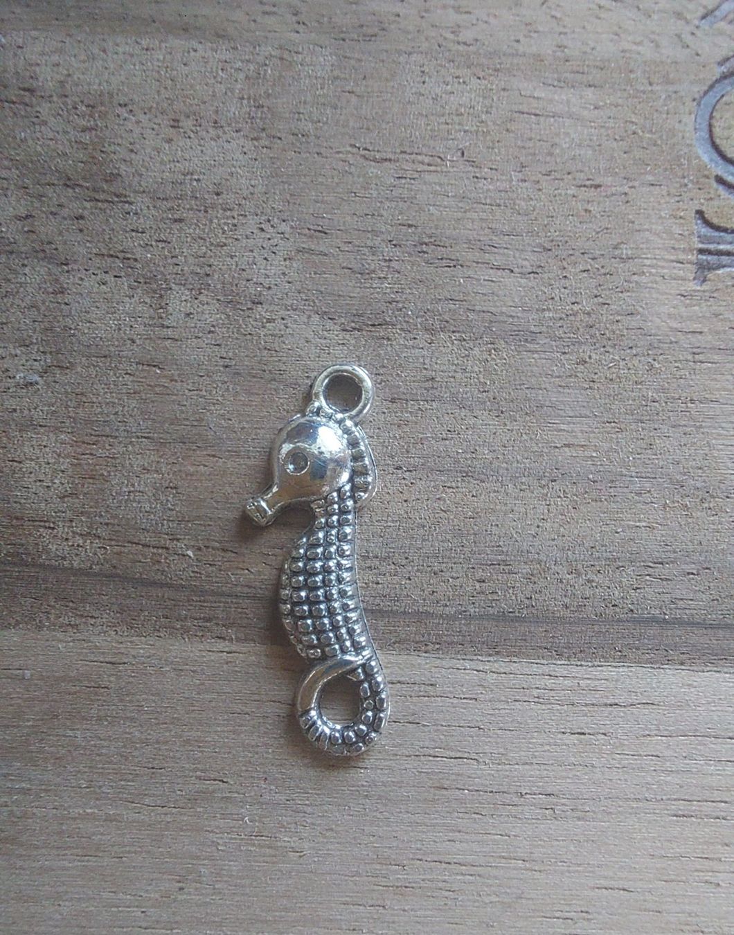 Anhänger: Charm Anhaenger Seepferd neuwertig – Neu (gemäss Beschreibung) aus Horgen von zur_jq85 3