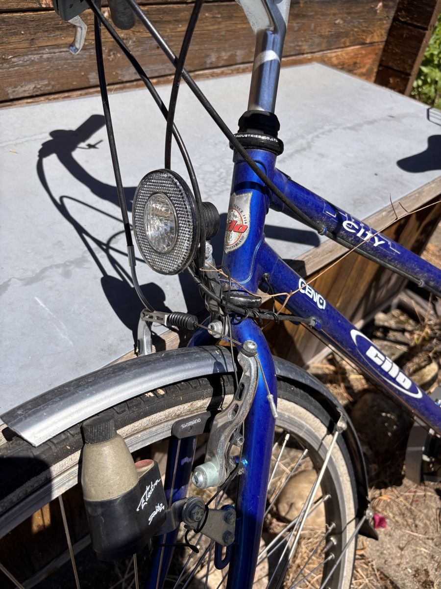 Velos: Damenvelo – Defekt aus Riehen von BMW-POWER 4