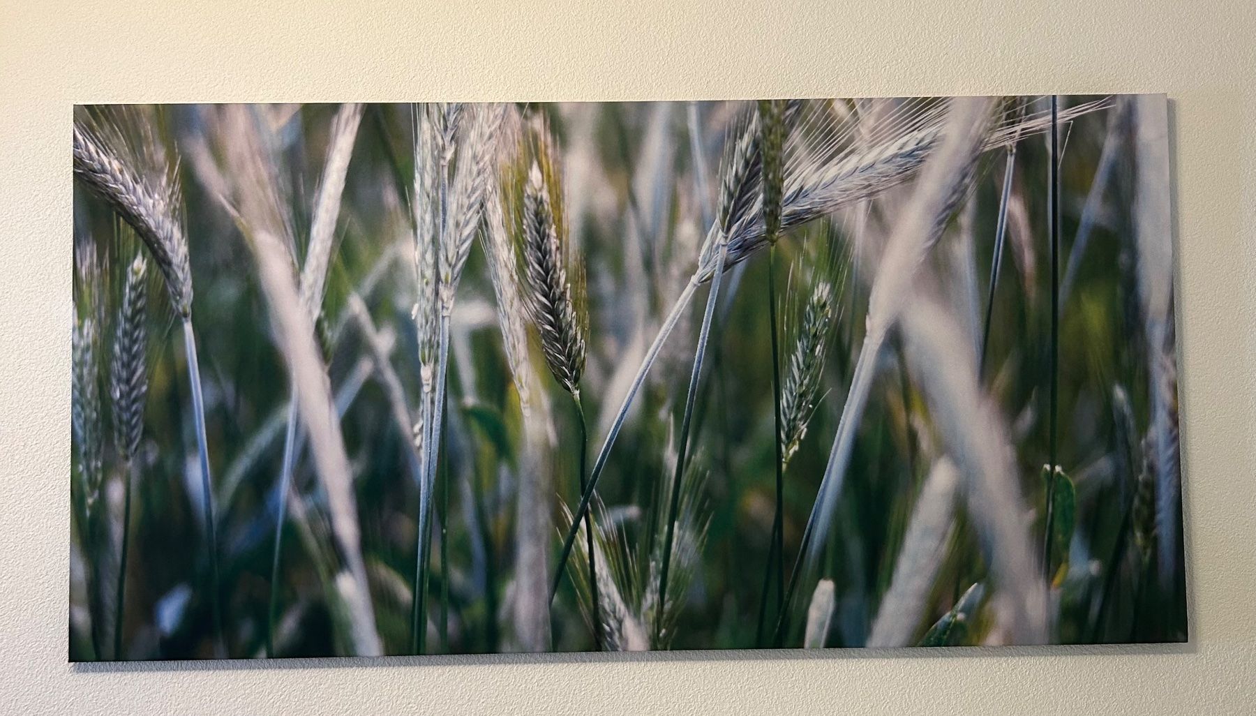 Foto & Immagini: Akustik Bild 100 x 200 cm x 3 cm – Usato da Wetzikon ZH venduto da Madi68