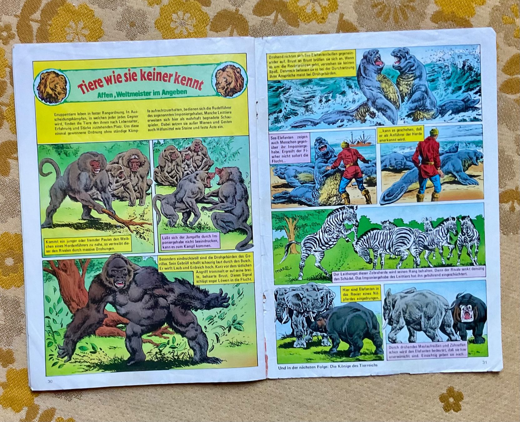 Fumetti: Bessy Heft Nr 798 von 1981 ? – Usato da Endingen venduto da nathan05 8