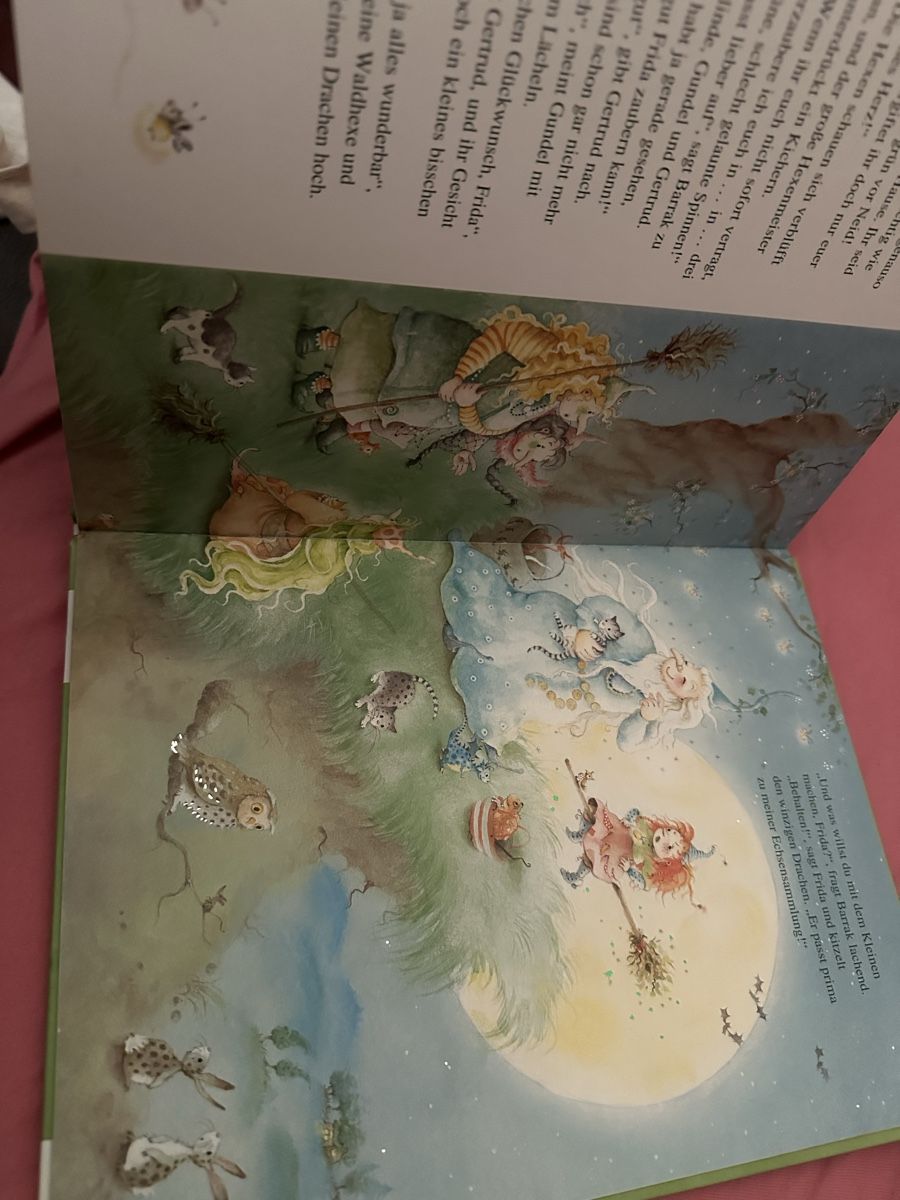 Libri: Frida, die kleine Waldhexe  – Usato da Uster venduto da bek_v2ct 6