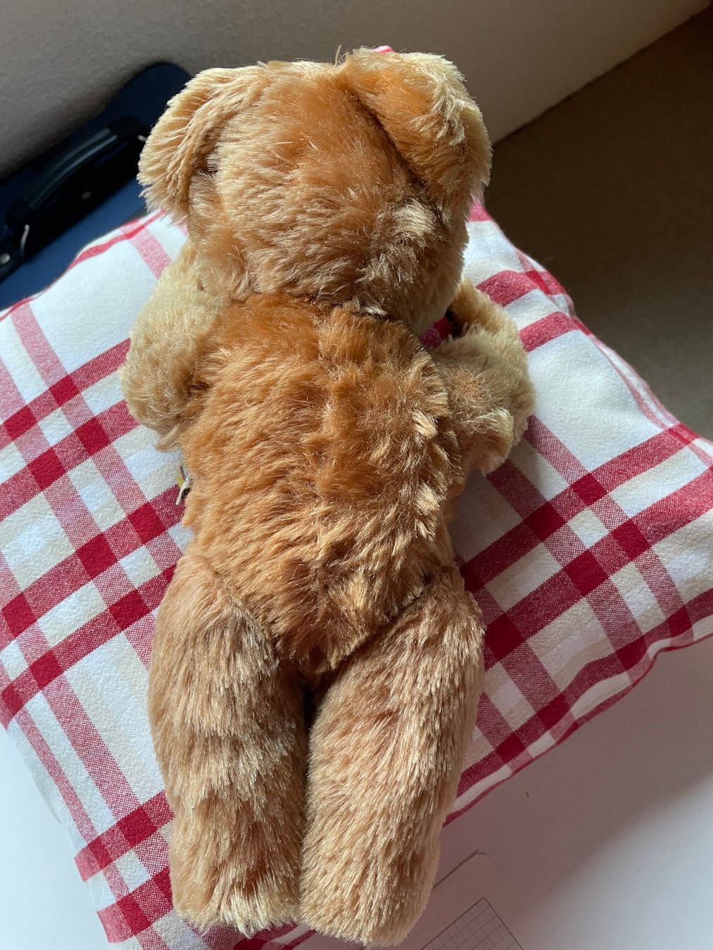 Giocattoli: Sehr gut erhaltener Teddybär mit drehbarem Kopf – Usato da Hausen am Albis venduto da Werk3 5