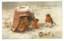 Neujahr - herzlichen Glückwunsch - Rotkelchen Winter - Litho