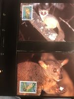 WWF Tansania 1989 Galagos Affen Satz Maximumkarten