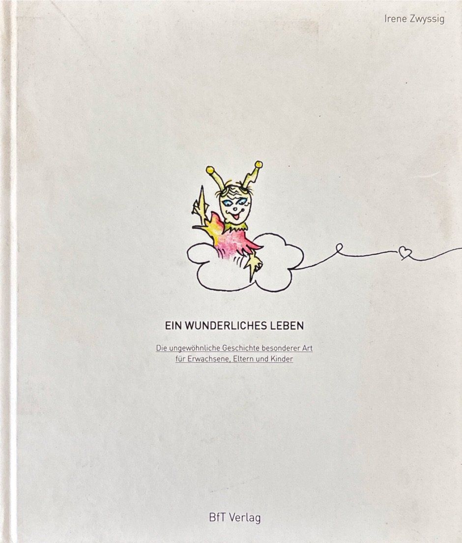 Libri: Zwyssig Irene, Ein Wunderliches Leben – Nuovo (secondo la descrizione) da Sarnen venduto da Livres
