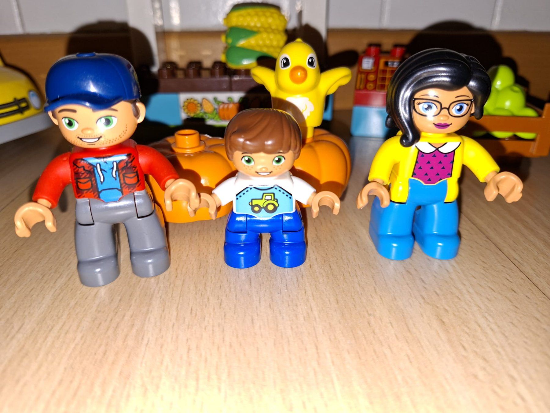 Lego Giocattoli: Lego Duplo Bauernmarkt 10867 – Usato da Wittenbach venduto da Gugielmo 1