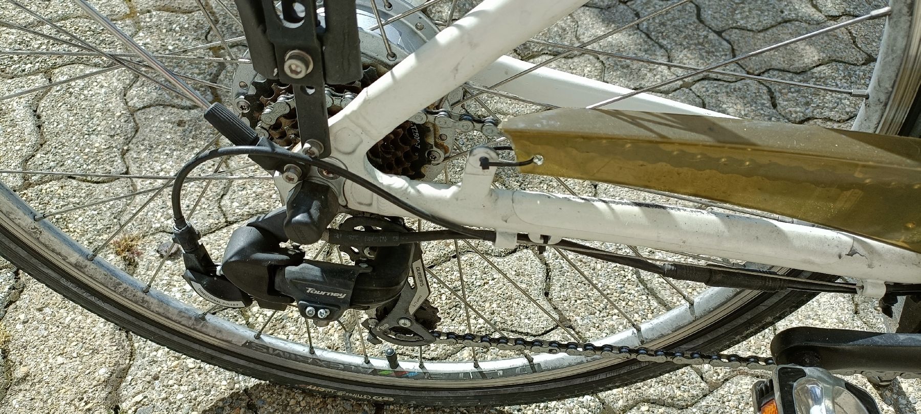 Leopard Biciclette: E Bike, E Velo, Elektrofahrrad – Usato da Frauenfeld venduto da lilo96 2