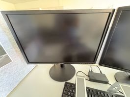 Samsung PC Bildschirm 24 Zoll (Zwei Stück)