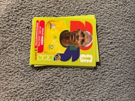 Panini Sticker RSA 9,  Südafrika WM 2026