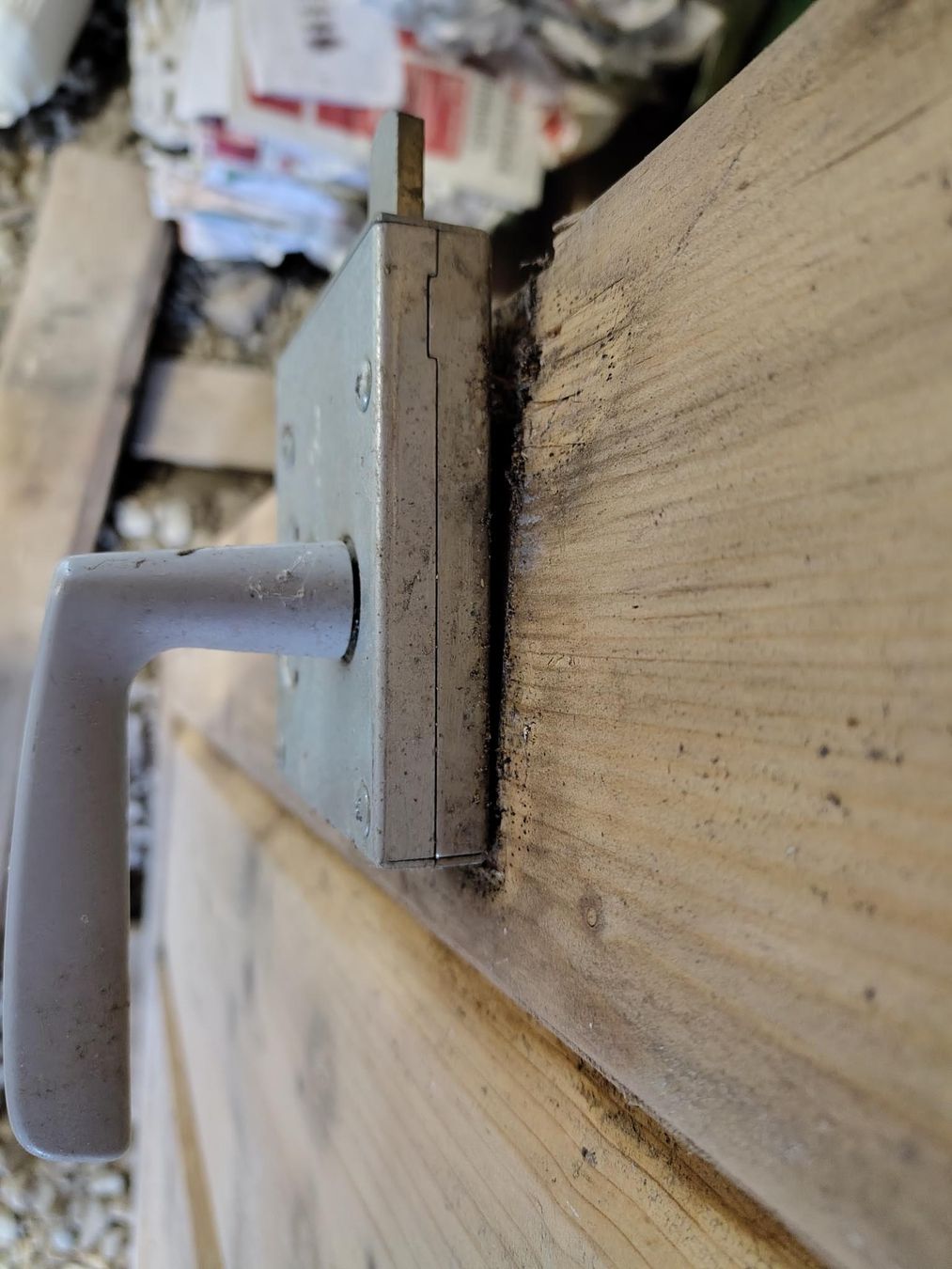 Porte: Holztür – Difettoso da Cazis venduto da jaiyen 2