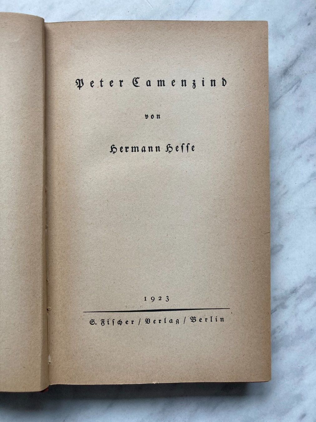 Libri: Peter Camenzind von Hermann Hesse – Usato da Mirchel venduto da buecher_wurm 3