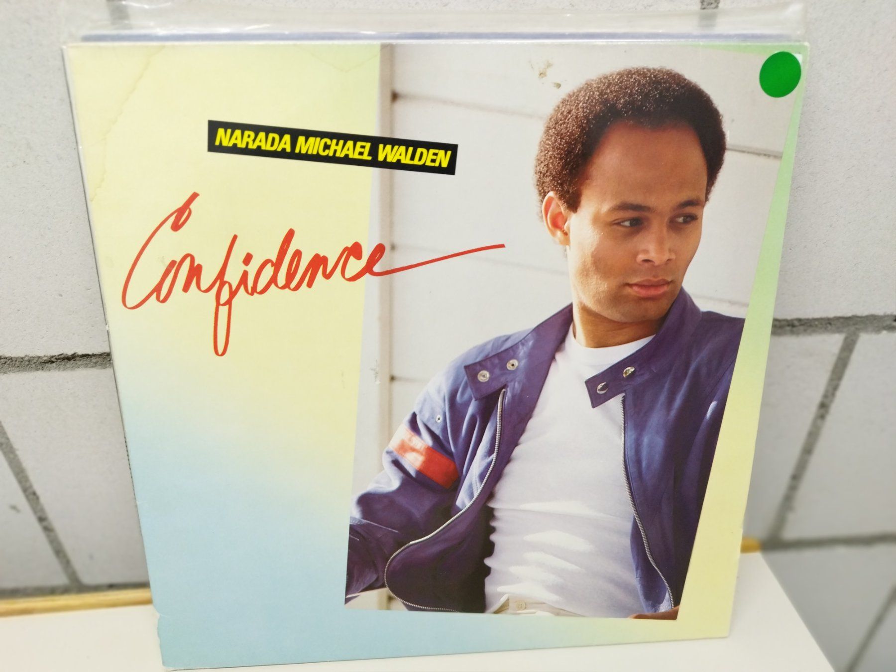 Dischi in vinile: LP. Ab Fr 1.--  Titel  siehe Foto – Usato da Lupfig venduto da fred-feuerstein