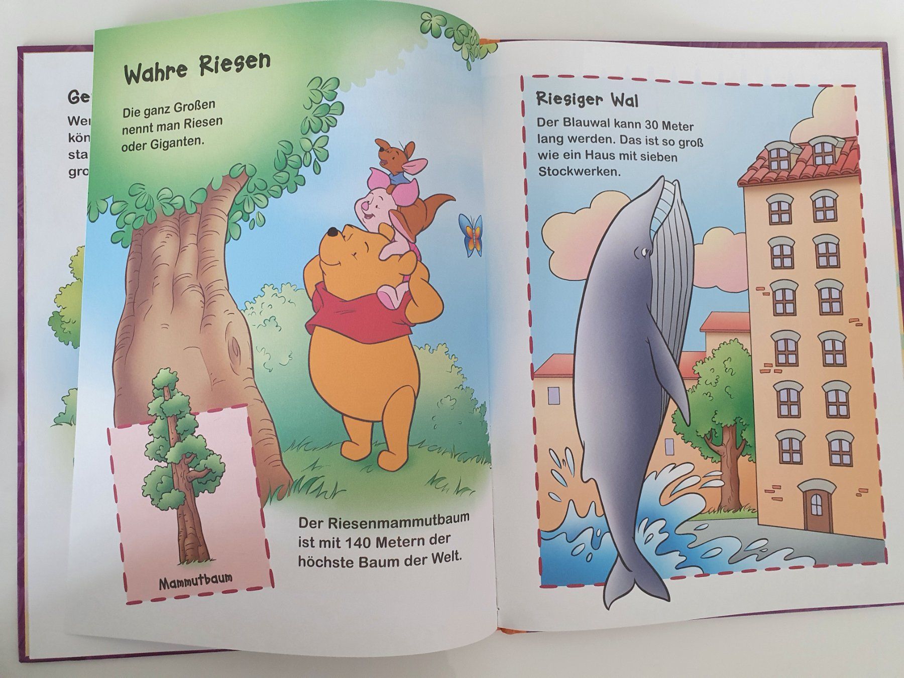Libri: Winnie Puuh - Entdecke Gross und klein / Disney – Usato da Oberdorf BL venduto da BaldenEagle 2