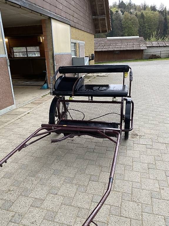 Carrozze: Kutsche mit Geschirr, gebraucht und neu – Usato da Brügg BE venduto da Nayeli02