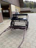Kutsche mit Geschirr, gebraucht und neu