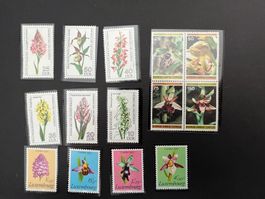 Orchideen diverse Länder** Luxus (B208)